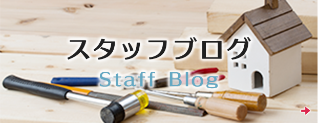 スタッフブログ